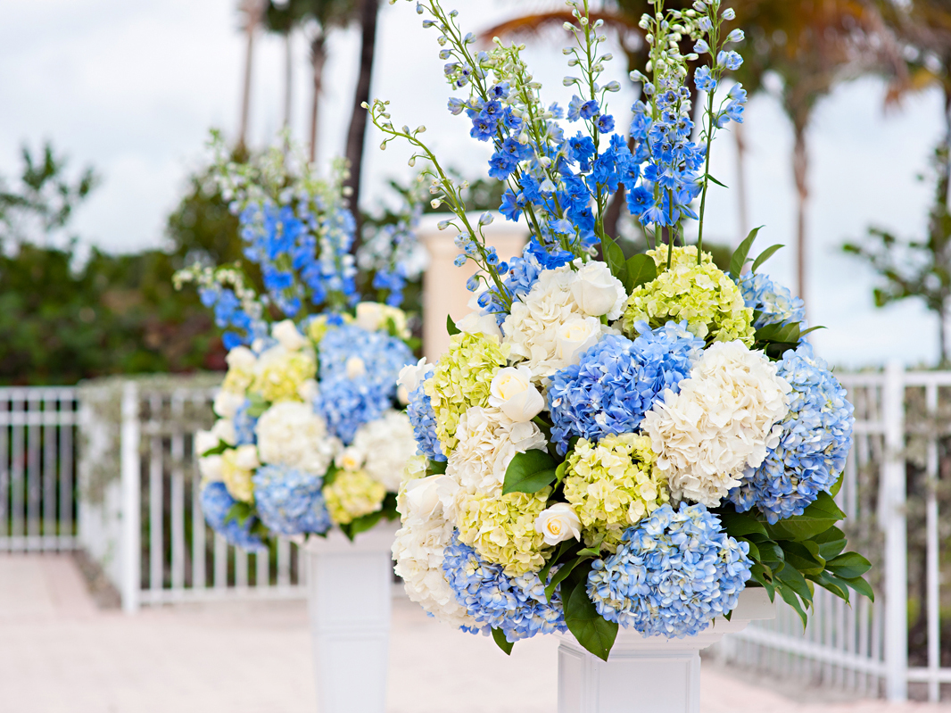 hoa cưới cẩm tú cầu trắng xanh đẹp