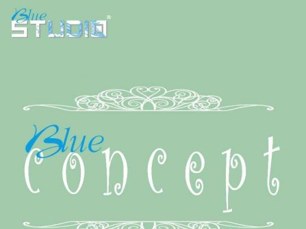 Blue Concept - Studio Quận 4