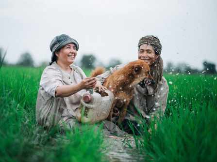 Bộ ảnh: Tình yêu đẹp giản dị của đôi vợ chồng nông dân trên đồng nước nổi
