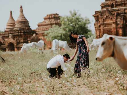 Mộng tơ tình đã được se chung