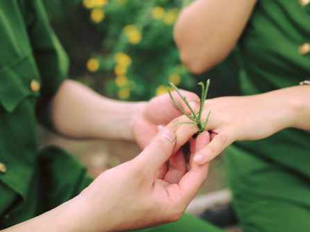 Nhẫn cỏ trao em