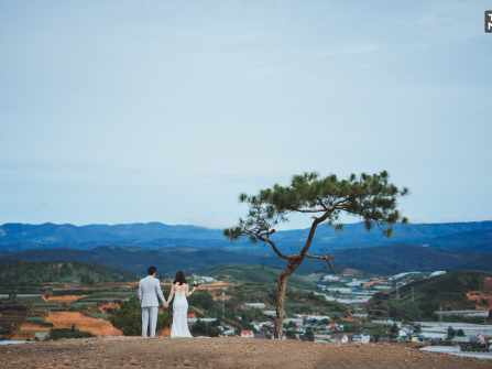 Lãng mạn bộ ảnh cưới của cặp đôi đẹp lung linh tại Đà Lạt.