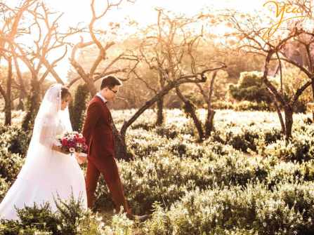Ảnh cưới đẹp combo chụp ở phim trường Thảo nguyên hoa và cầu Long Biên với 6750k