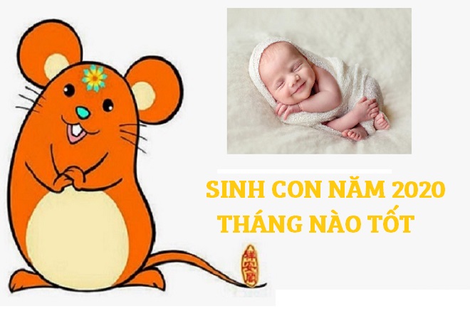 Năm 2020 bé sinh ra thuộc mệnh Thổ, năm canh Tý và cầm tinh con chuột Marry