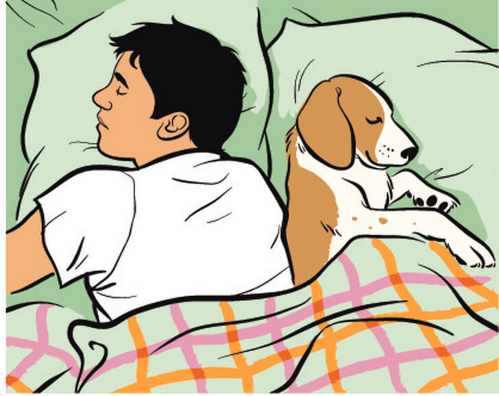 6 lý do bạn nên từ bỏ thói quen nằm ngủ nghiêng bên phải ngay lập tức Marry